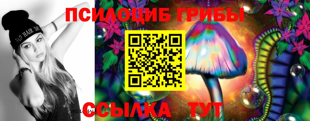 купить наркотики цена  Вход с VPN  Галлюциногенные грибы Psilocybe  Алейск  Псилоцибиновые грибы Magic Shrooms 